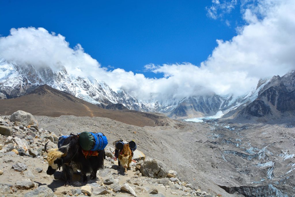 everest (ebc)